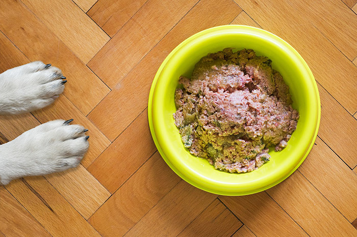 PR – Why leaders now need to ‘eat their own dog food’